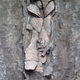 Illustration for article titled Archeologists unearth rare Egyptian sarcophagus and gold seal in Israel